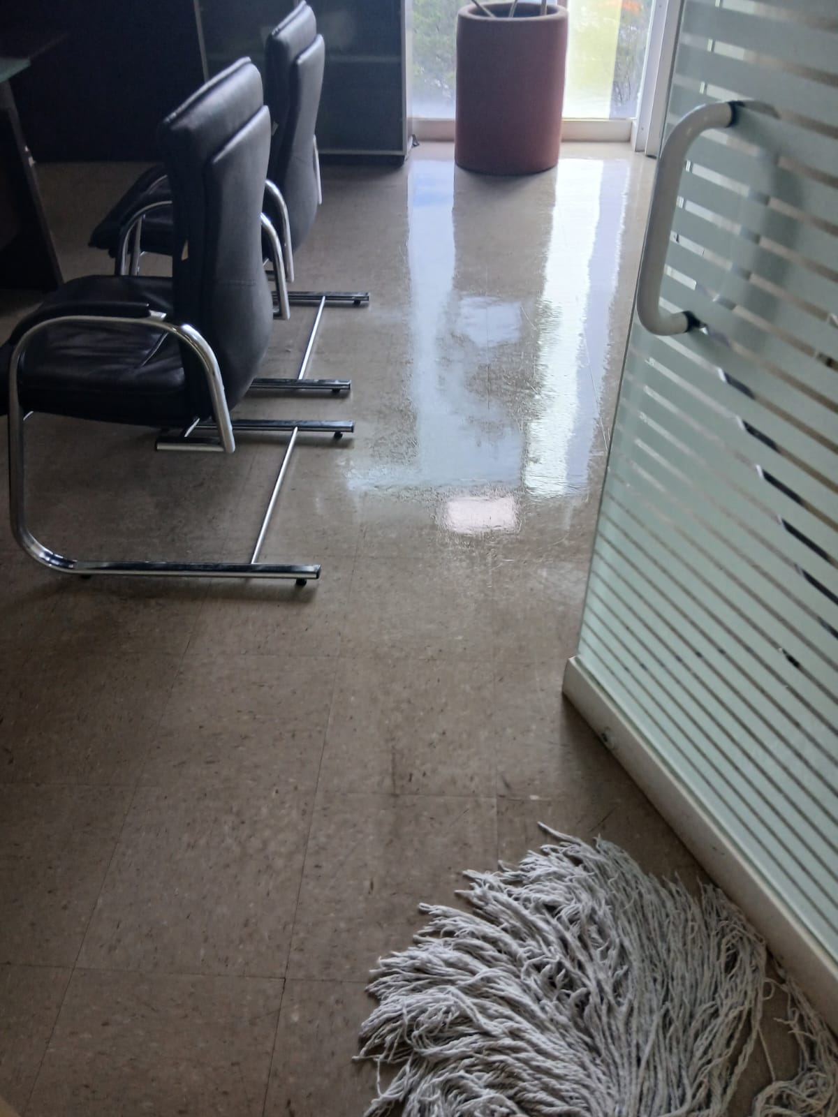 Professional cleaning services